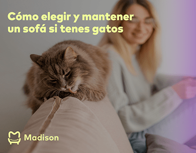 MADISON SOFAS social media