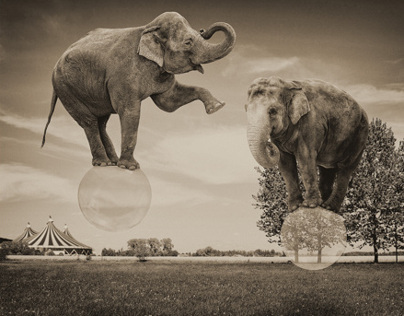 Elephant Bubble Escape