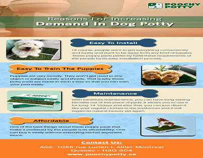 Reasons for Increasing Demand in Dog Potty