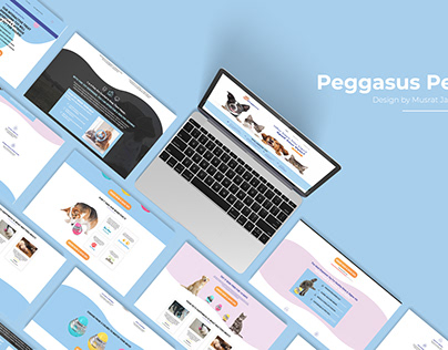 Web design for Peggasus Pet