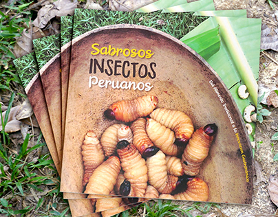 Libro "Sabrosos Insectos Peruanos"