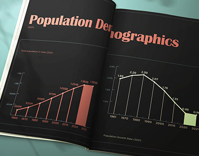 India - Demographic Profile Editorial Design