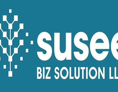 Susee BIZ, Embedded Design Services Connecticut