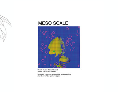 Meso Scale Portfolio
