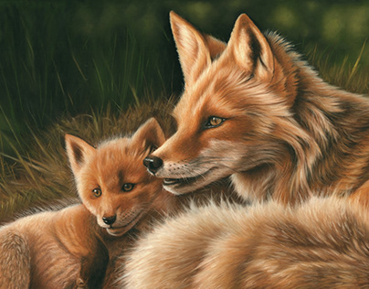 Portrait of a fox and cub.