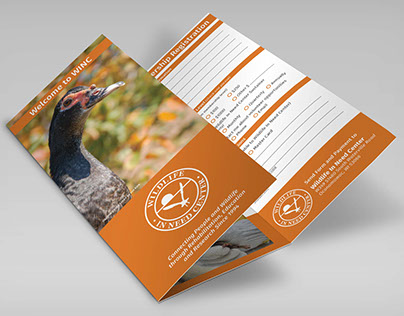 Wildlife In Need Center Brochures