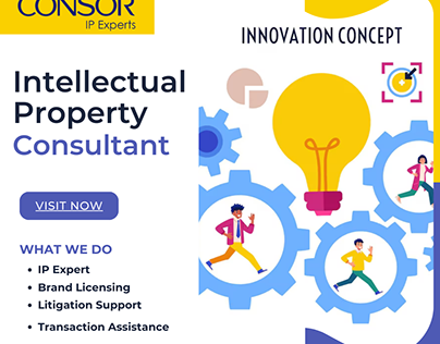 Intellectual Property Consultants