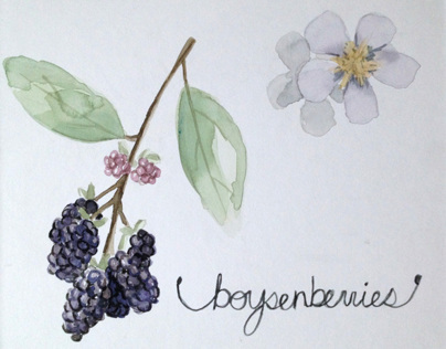 Boysenberries