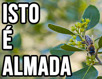 Almada - Loving the Planet