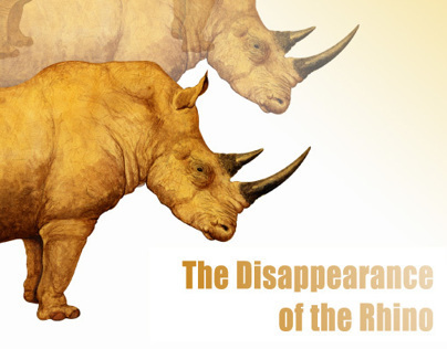 Disappearance of the Rhino