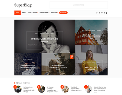 SuperBlog - Powerful Blog & Magazine WP Theme