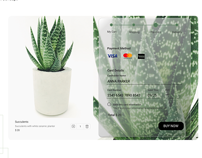 Payment checkout screen - Glassmorphism