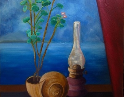 seashell plant