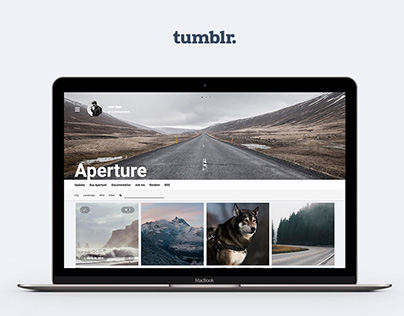Aperture Tumblr Theme for Photographers