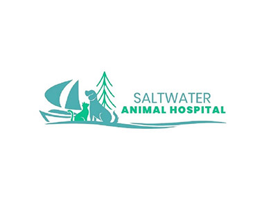 Saltwater Animal Hospital Des Moines, WA