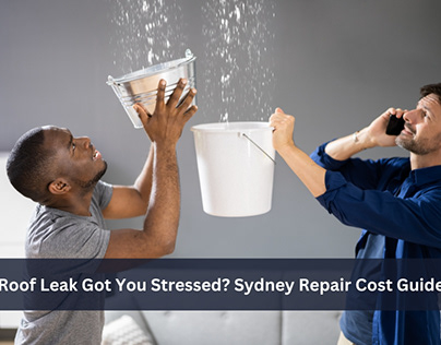 Roof Leak Got You Stressed? Sydney Repair Cost Guide