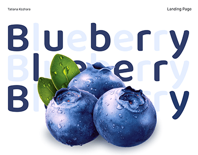 Landing page blueberry