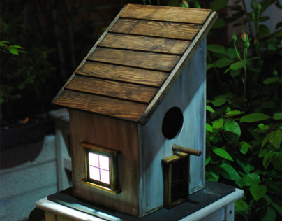 Solar Birdhouse with viewer