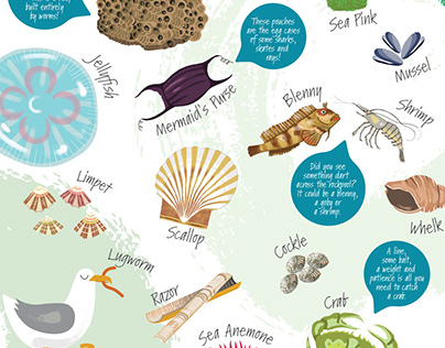 Nature posters for coastal site