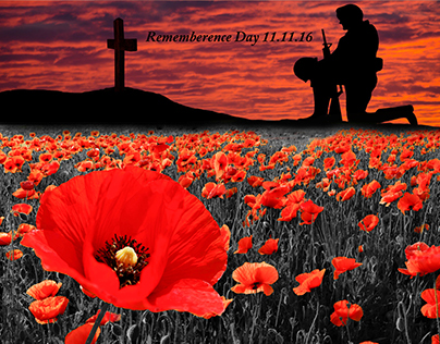 Remembrance Day Project