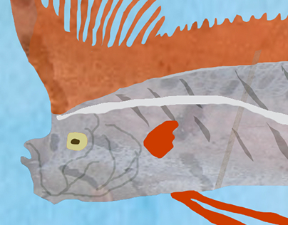 ABC Fish Illustrations