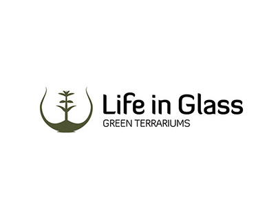 Life in Glass (2018)