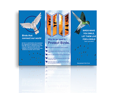 Save our birds flyer design.