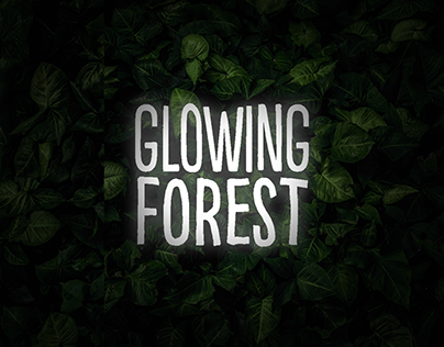 Glowing Forest