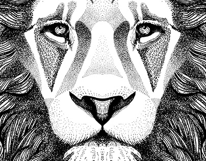 LION illustration