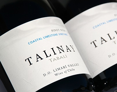 Fotos detalles etiquetas de vinos Tabalí