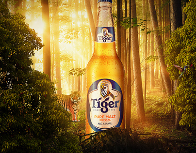 Estudo 3 - Cerveja Tiger