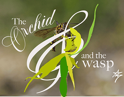 The Orchid & the Wasp