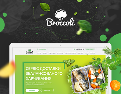 Web site for Healthy food delivery service.