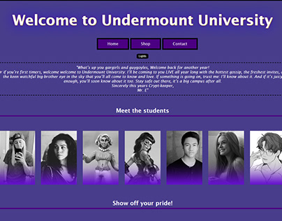 Undermount University Website