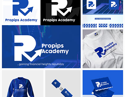 Project thumbnail - LOGO DESIGN AND BRANDING FOR PROPIPS
