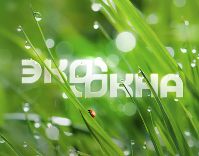 EcoOkna — logo brand identity