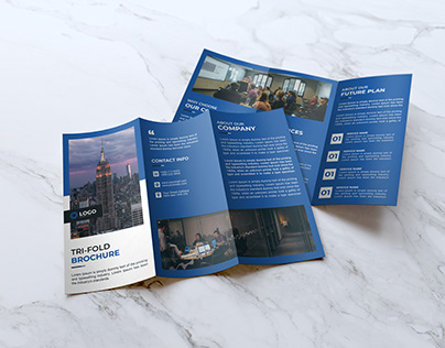Business Tri fold Brochure Design