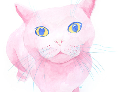 Cat illustrations for Inktober 2017