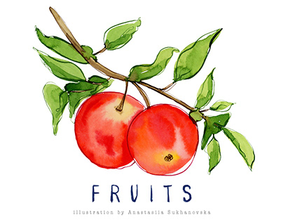 Fruit Watercolor Illustration