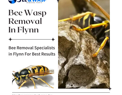 Bee Wasp Removal Flynn