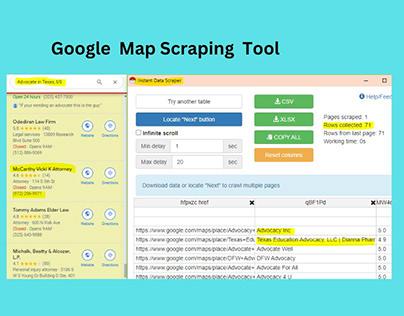 Google Map Scraping (Instant Data Scraper)
