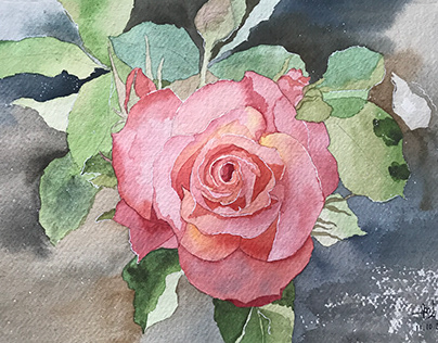 Roses in Watercolor with Mockups