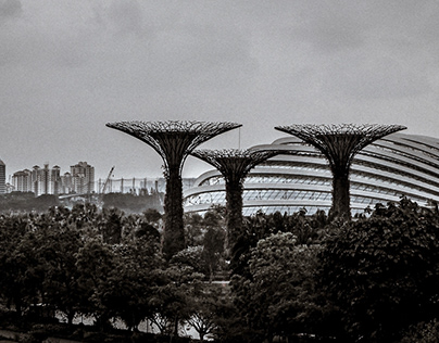 GARDENS BY THE BAY ｜SINGAPORE