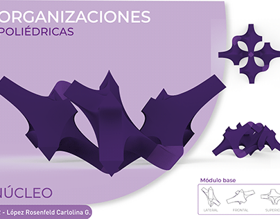 Project thumbnail - Organizaciones poliédricas | M2, Muñoz
