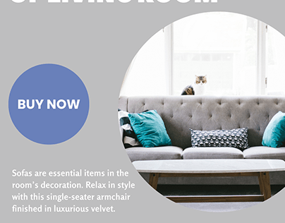 Velvet Sofas For Every Type Of Living Room