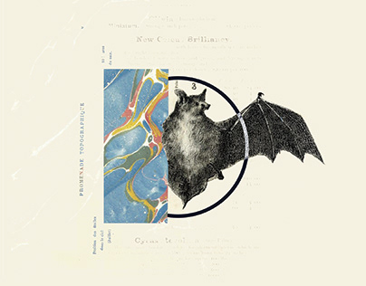Bat Collage