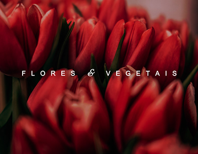 Flores & Vegetais