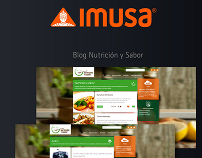 IMUSA WebSite y Blog