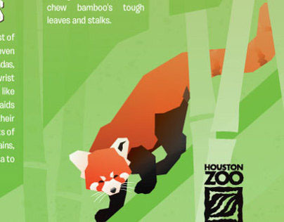 Houston Zoo Flyer, Red Panda