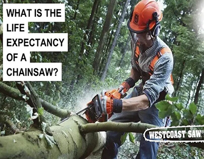 WHAT IS THE LIFE EXPECTANCY OF A CHAINSAW?